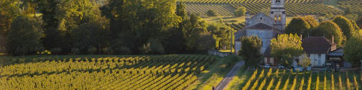 Opportunities in Bordeaux Wine: A Wide Ranging Collection