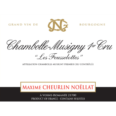 Georges Noellat Chambolle-Musigny 1er Cru Les Feusselottes 2018 (1x150cl)