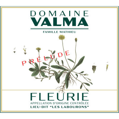 Valma (Famille Mathieu) Fleurie Les Labourons Prelude 2021 (6x75cl)