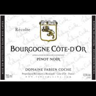 Fabien Coche Bourgogne Cote d'Or 2022 (12x75cl)