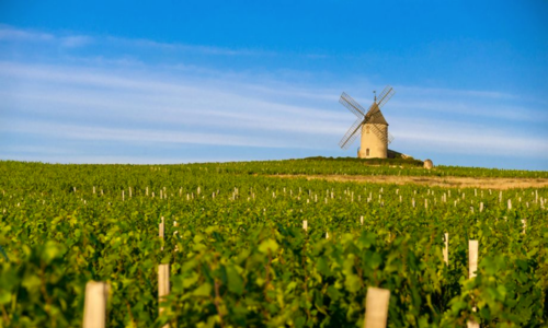 Beaujolais