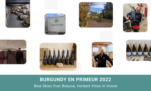 an images featuring a few selected vignerons in Burgundy and their cuverie and cellar
