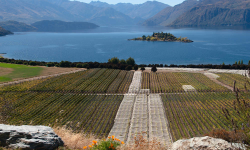 Central Otago wines and winemaking region
