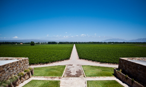 Mendoza wines and winemaking region