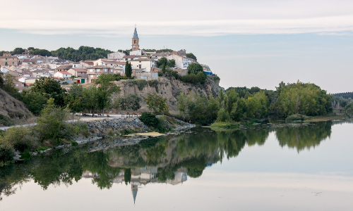 Navarra wine region